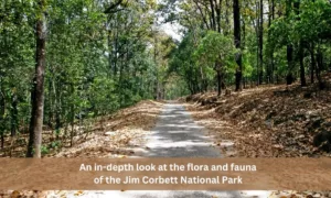 flora and fauna of the Jim Corbett National Park