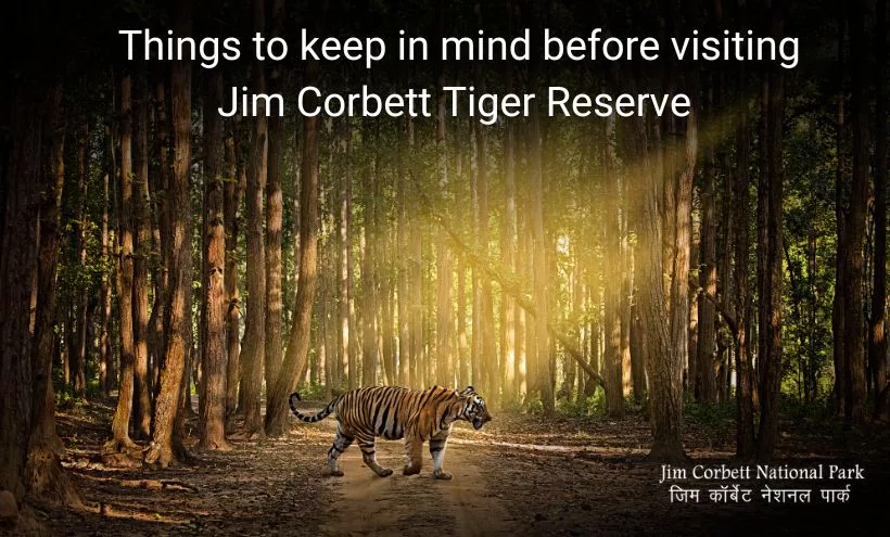 jim corbett tiger reserve