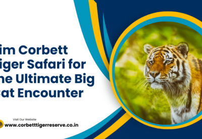 Jim Corbett Tiger Safari for the Ultimate Big Cat Encounter (1)