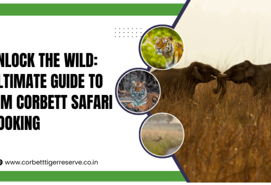 Unlock the Wild Ultimate Guide to Jim Corbett Safari Booking (1)