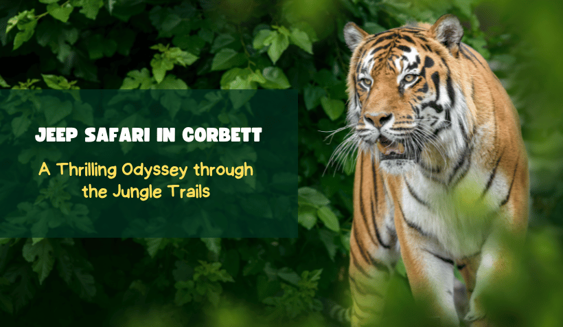 Jeep Safari in Corbett A Thrilling Odyssey through the Jungle Trails