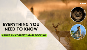 Everything You Need to Know About Jim Corbett Safari Booking
