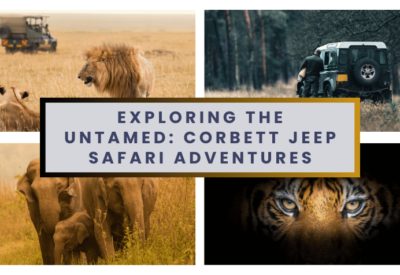 Exploring the Untamed Corbett Jeep Safari Adventures