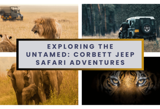 Exploring the Untamed Corbett Jeep Safari Adventures