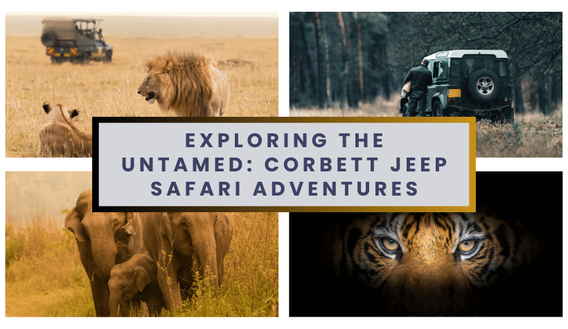 Exploring the Untamed Corbett Jeep Safari Adventures