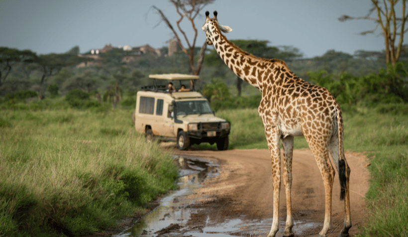 Why Choose Corbett Tiger Reserve for Corbett Jeep Safari?